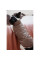 Жилет для собак Pet Fashion Hardy XS