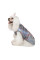 Жилет для собак Pet Fashion «Fashion» M