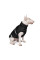 Жилет для собак Pet Fashion Big Boss 2XL