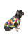 Жилет для собак Pet Fashion «Spring» принт XS
