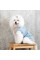 Жилетка для собак Pet Fashion Kris XS