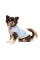 Жилетка для собак Pet Fashion Kris XS