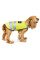 Жилет для собак Pet Fashion «Yellow Vest» XS