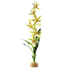 Декорація для тераріума Exo Terra рослина на підставці «Spider Orchid»