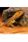Декорація для тераріума Exo Terra «Reptile Cave» Грот M 23 x 16 x 7 см - пластик