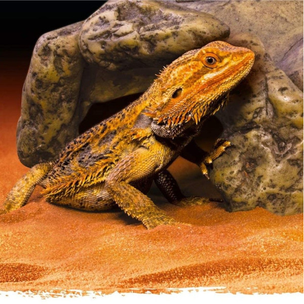 Декорація для тераріума Exo Terra «Reptile Cave» Грот M 23 x 16 x 7 см - пластик