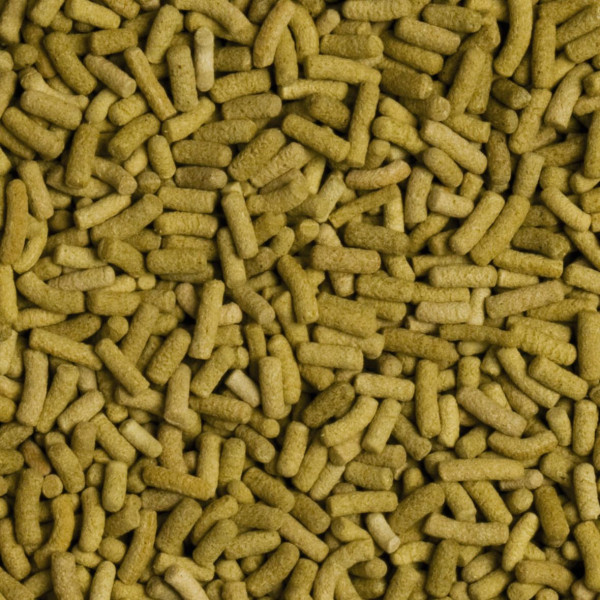 Сухий корм для сухопутних черепах Tropical в паличках «Biorept L» 100 мл