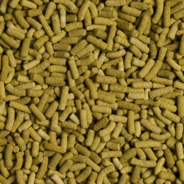 Сухий корм для сухопутних черепах Tropical в паличках «Biorept L» 250 мл