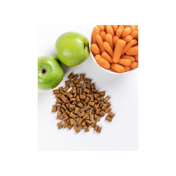 Хрумкі ласощі Savory Cats Snacks Pillows Dental Care для дорослих котів подушечки для здоров я зубів 60 г